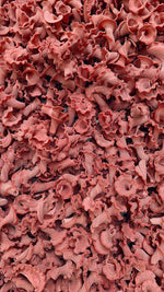 Load image into Gallery viewer, Gigli Rosa (Bronze Die extruded)