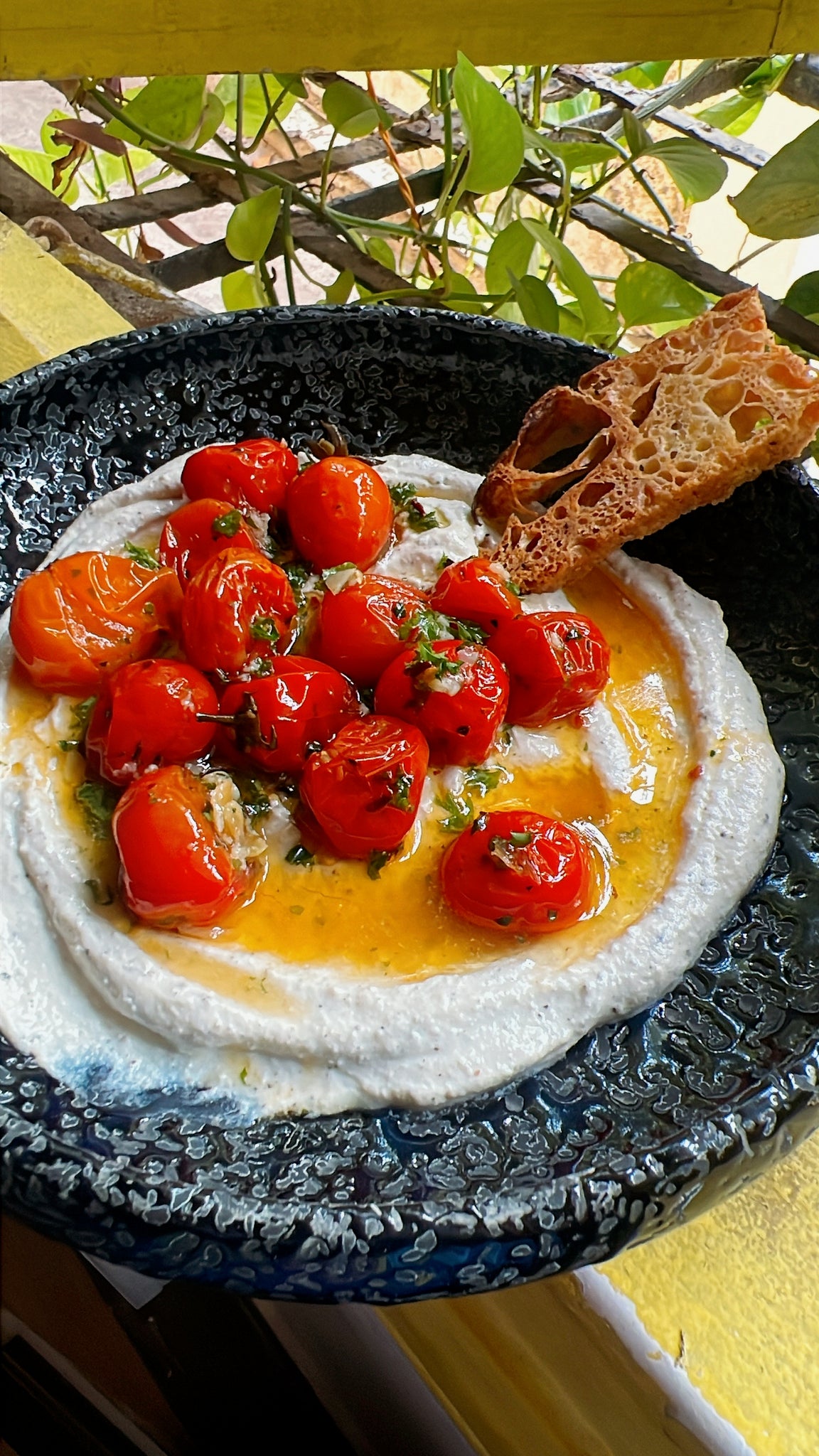 Whipped ricotta with confit tomatoes