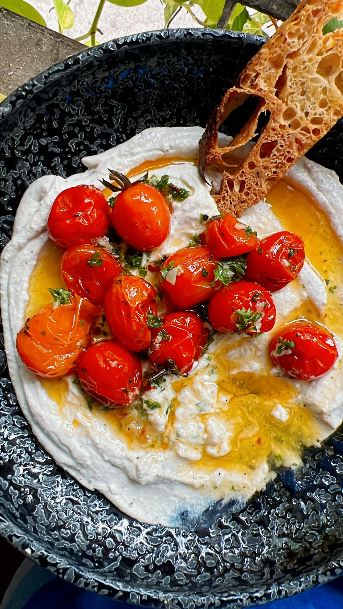 Whipped ricotta with confit tomatoes