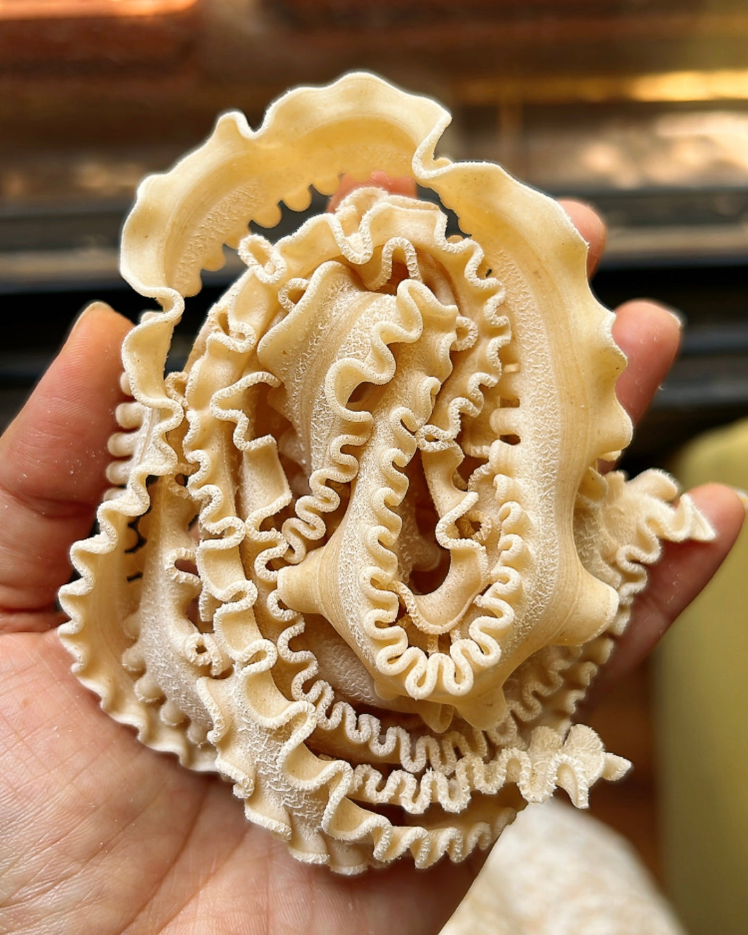 Mafaldine (Bronze die extruded)
