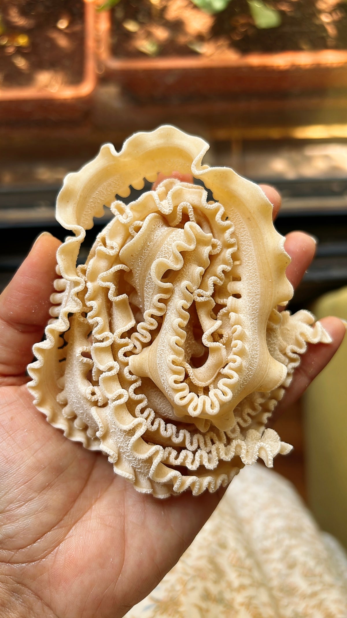 Mafaldine (bronze die extruded)