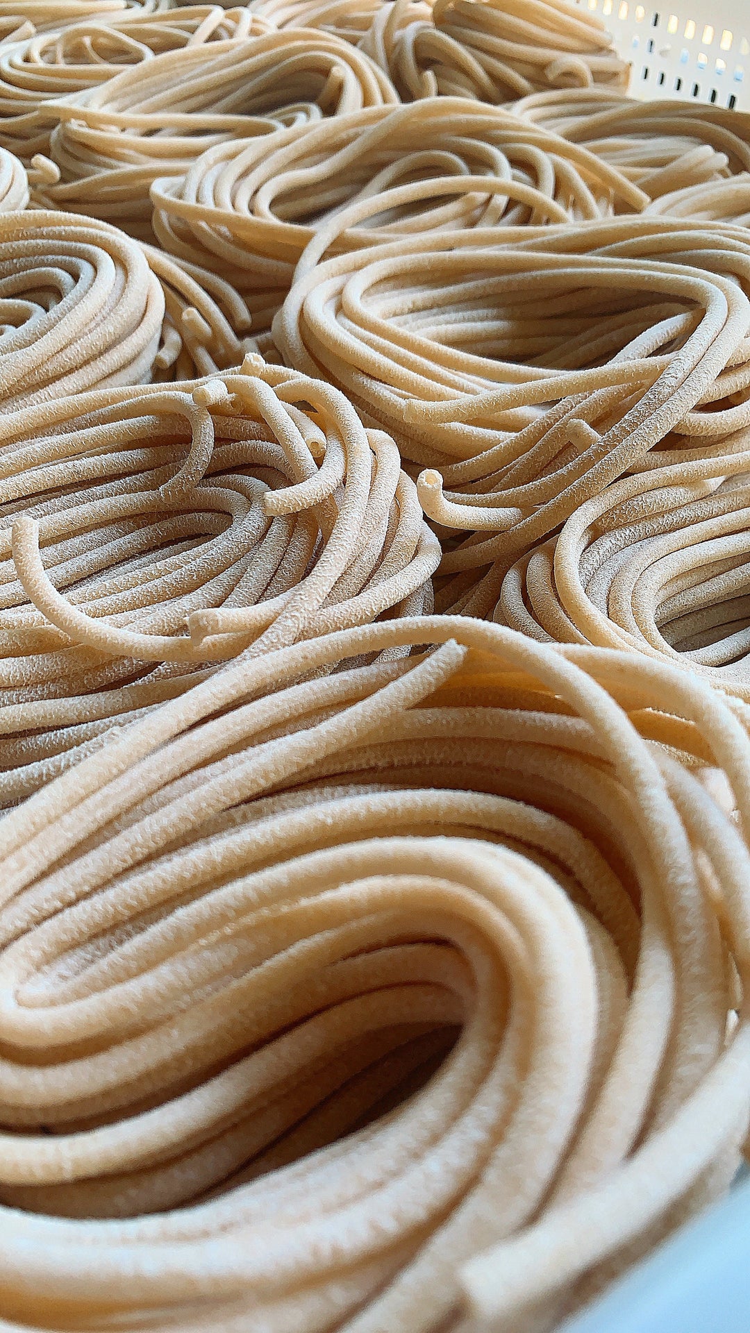 Bucatini- Emmer Wheat (Bronze die extruded)