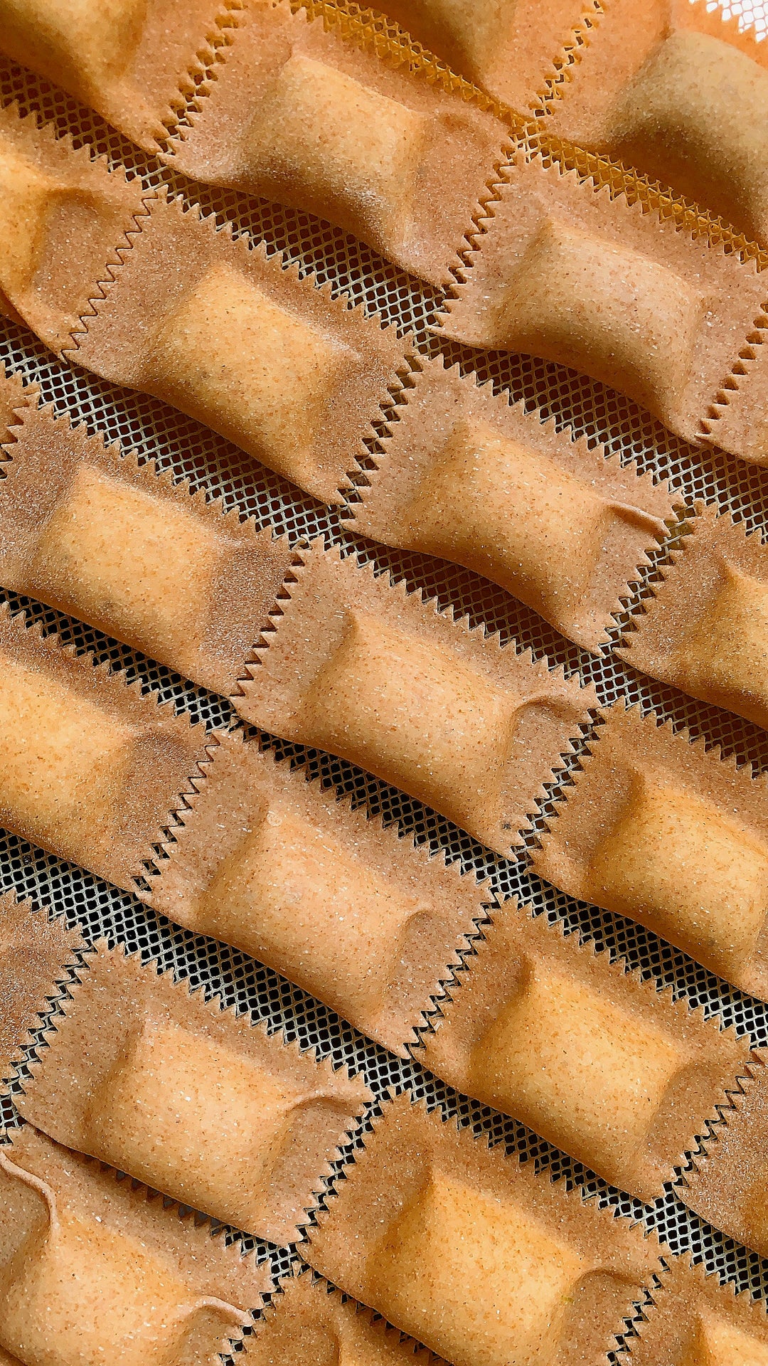 Ravioli di Cacio e Pepe (Emmer Wheat)