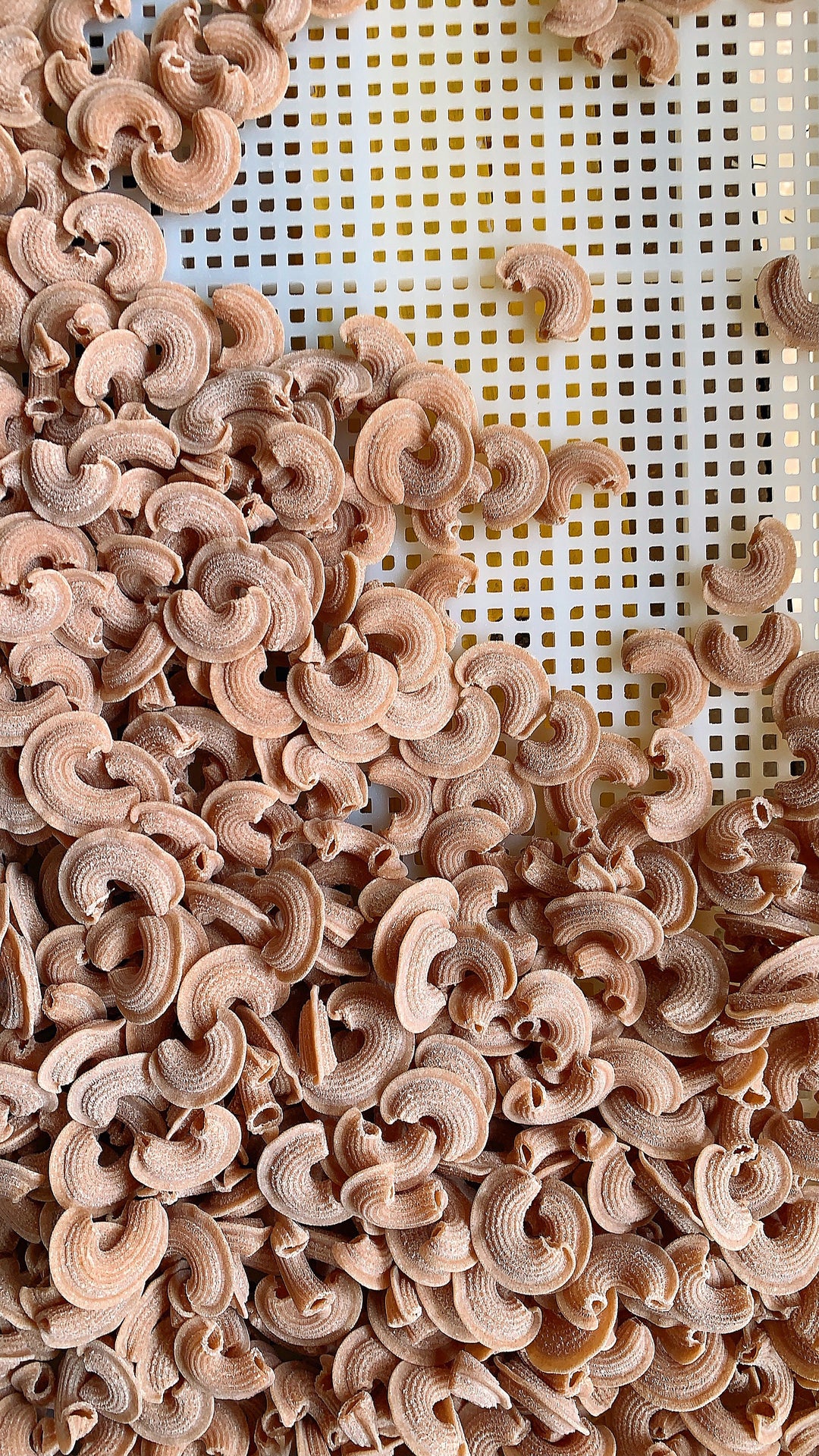 Creste di Gallo (Bronze die extruded)
