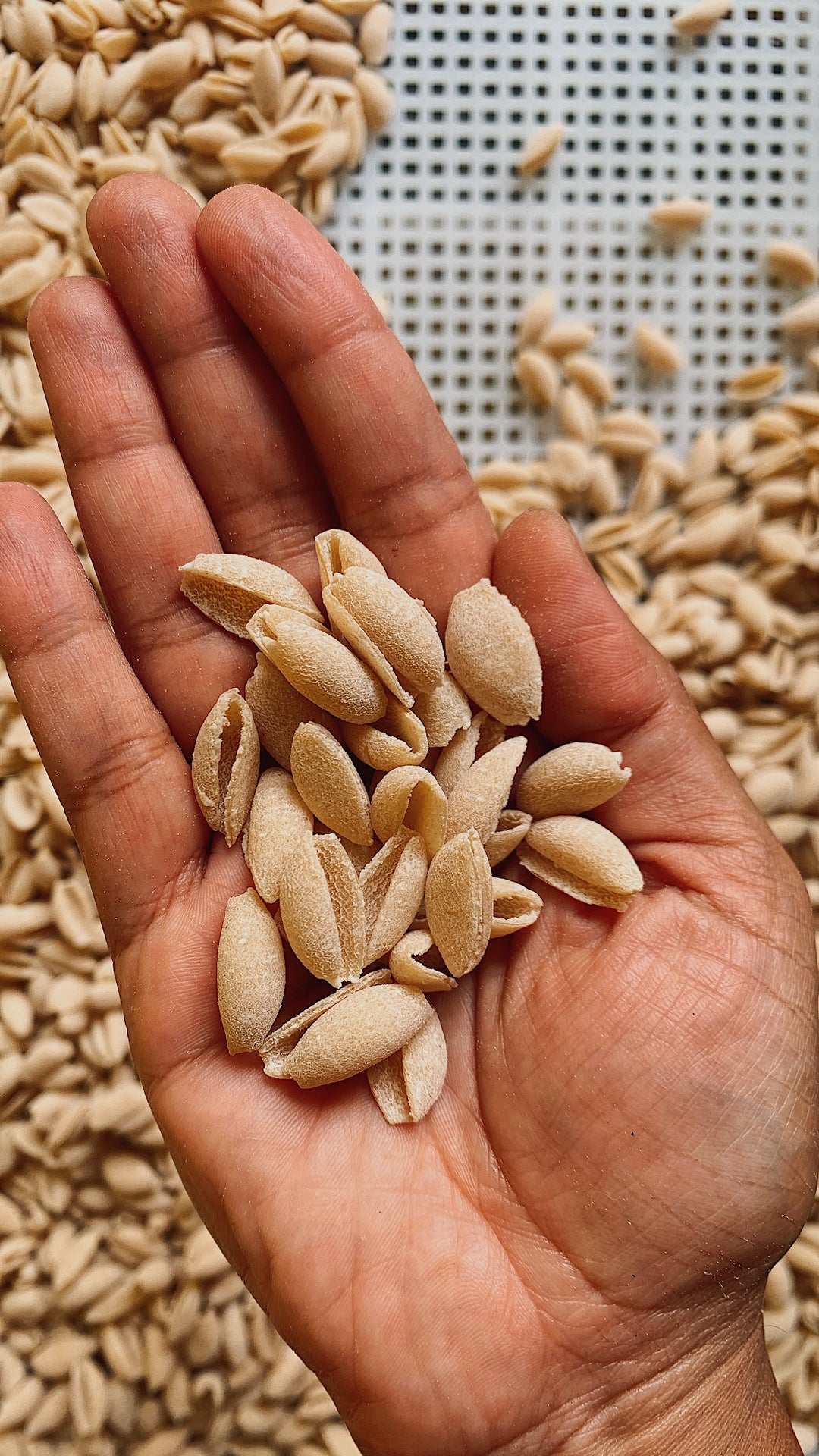 Cavatelli - (Bronze die extruded- dried)
