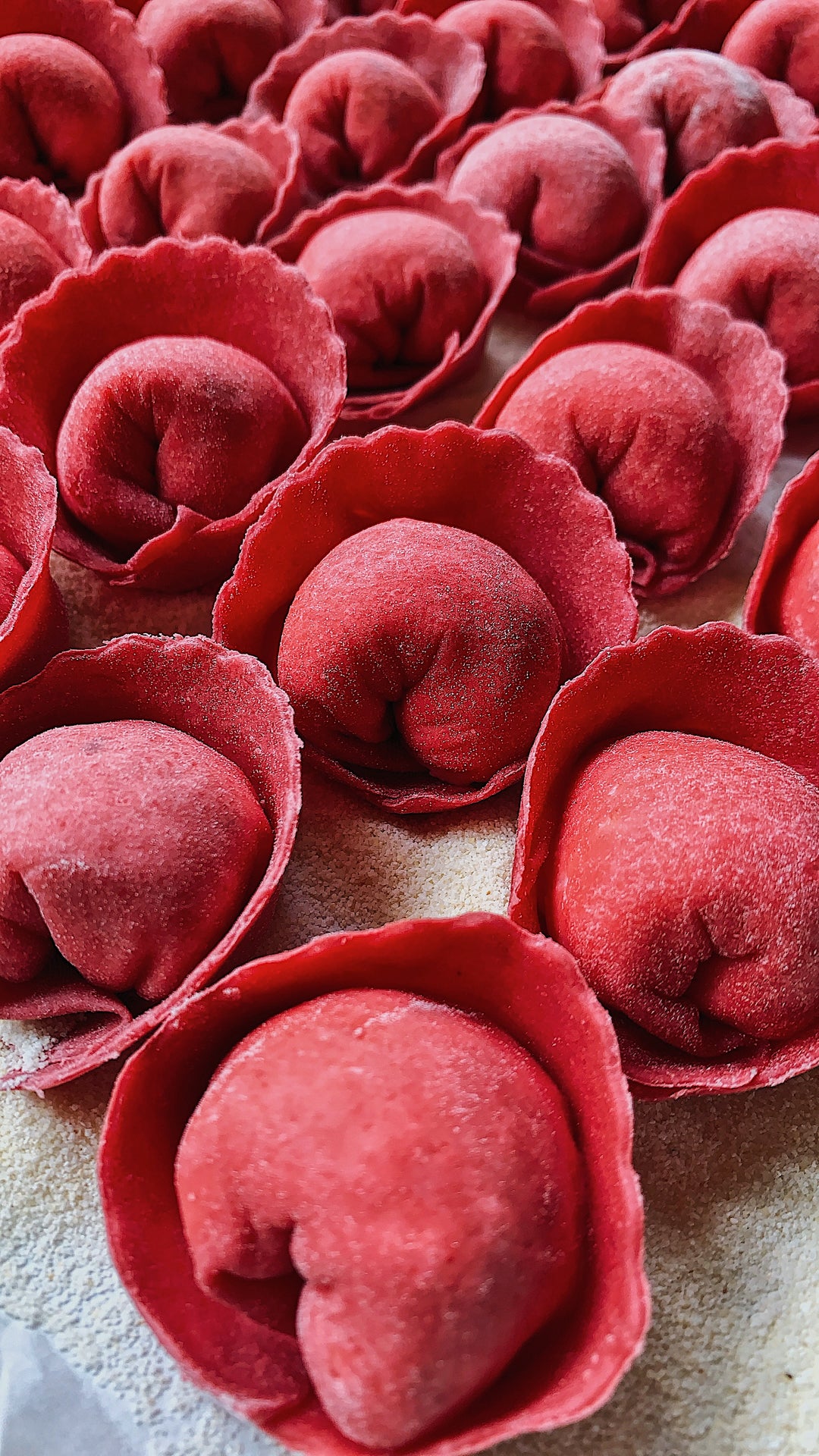 Xmas Cappellacci di ricotta